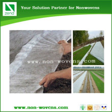 tunnel plastic greenhouse film agriculture